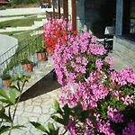 μαγκιωση