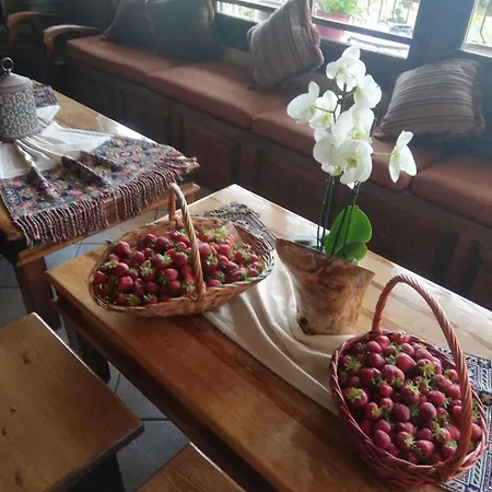 Hotel μαγκιωση 3*